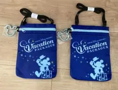 東京ディズニーリゾート　バケーションパッケージ　ショルダーバッグ