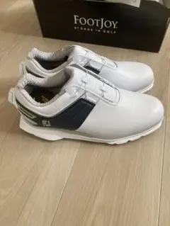 Item thumbnail for item 2193a5f3-a554-4a6b-9e1f-d79d93eb54fc