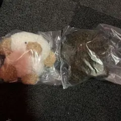 じょせまる ぬいぐるみ ガチャガチャ らて 黒