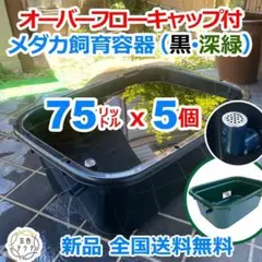 メダカ飼育ケース 120㍑x3個 黒・濃緑あり オーバーフロー 金魚飼育