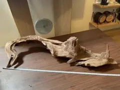 Item thumbnail for item 81624e81-be91-4cfe-ba1a-73a4247e3934