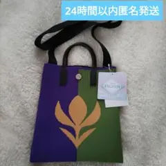 【24時間以内匿名発送】しまむら　ちはる　アナ雪モチーフ　ショルダーバッグ