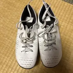 Item thumbnail for item 7a9aad2c-6b56-449e-8e5d-5b7154eed7d0