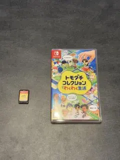 トモダチコレクション わくわく生活 Nintendo Switch ソフト