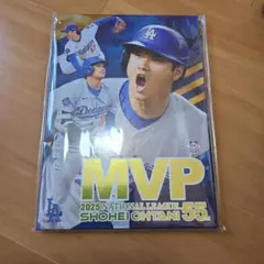 超希少】 大谷翔平 ファイターズ デザインチケット 5枚 半券 札幌