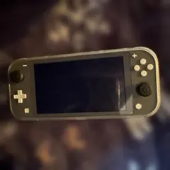 Nintendo Switch Lite グレー 本体