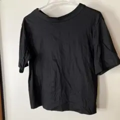 Item thumbnail for item 4ef55ba0-adc8-4207-a4a7-2cacdedee00e