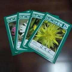 ジャポニカ学習帳 花の写真 4冊セットのサムネイル