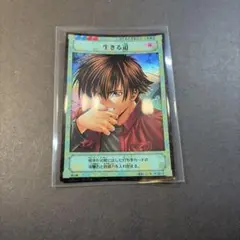 ヒカルの碁 トレーディングカード 棋聖降臨 B2-44 レアカード 緒方精次