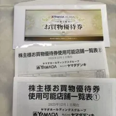 ヤマダホールディングス お買物優待券 3000円分
