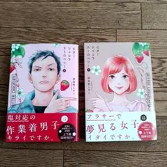 ビターショコラストロベリー　上下セット