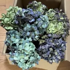 どんぐり様 リクエスト 2点 まとめ商品