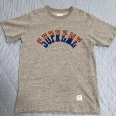 Supreme アーチロゴ Tシャツ グレー Lサイズのサムネイル