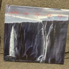 Pearl Jam gigaton CD