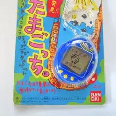 Item thumbnail for item 3d5aa710-5650-4326-b58f-a5c0d7bb70e6