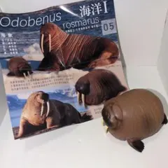 2026年最新】動物の惑星 アニマルプラネットの人気アイテム - メルカリ