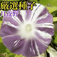 coco 匿名・迅速・安心・丁寧☆様 リクエスト 2点 まとめ商品