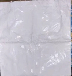 Item thumbnail for item be7d3e6d-5e3c-4d42-91bf-e5720b5873de