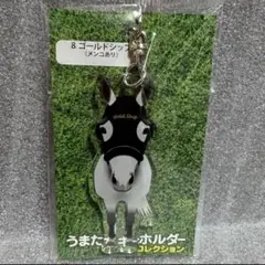 2026年最新】ステイゴールド 競馬の人気アイテム - メルカリ