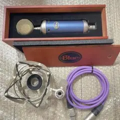 N*Y様 Blue Blubird SL コンデンサーマイク 本体 木製ケース付 - メルカリ