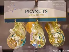 【USJ限定・完売品】スヌーピー Sparkles チャーム 冬限定 (１個)