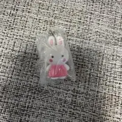 サンリオキャラクターズ オールスターズ めじるしアクセサリー チアリーチャム