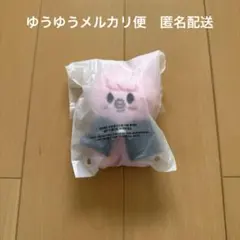 Stray Kids スキズ チャンビン　トエッキ　skzoo 10cmぬい