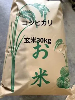 引き取り限定11000円】茨城県産 コシヒカリ 玄米 30kg | Mercari