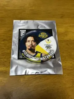 Item thumbnail for item 9d24ec21-28a6-4fdf-837d-ad399e904444