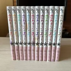 恋わずらいのエリー 全巻セット