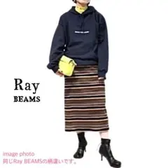 Ray BEAMSリブ マルチ ボーダー タイトスカート mi039
