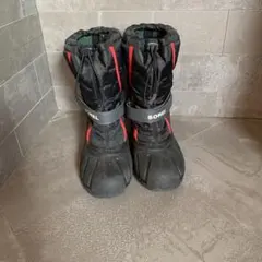 Item thumbnail for item 8adfd6fb-7de8-453c-bc15-03dcad57751f