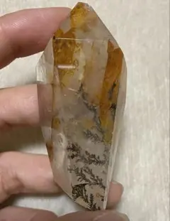 本日のみ大特価】ゴールデンヒーラーパキスタン スカルドゥ産 ヒマラヤ