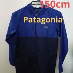 patagonia フード付きジャケット L ネイビー