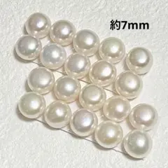 Item thumbnail for item f1fee7c8-c640-4c9a-8f51-ba6e2efaa381