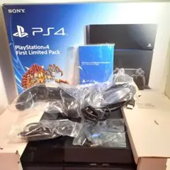 ★動作品★PS4 First Limited Pack 500GB　付属品完品
