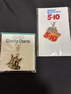 新品ARASHI 5×10会場限定チャーム嵐激レアチャリティー2026Live