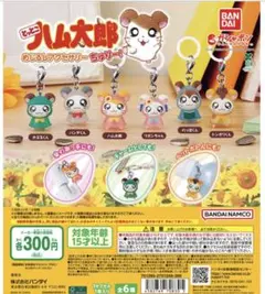 とっとこハム太郎 めじるしアクセサリー　ちゅりー！