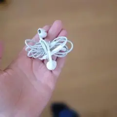 Apple EarPods with Lightning Connector
