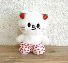 スキズー skzoo ぬい 服 ジニレット いちごちゃん