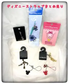 ディズニーリゾート　ストラップ等　美品