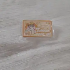 カラフルピーチ　たっつん　ダイナー　お名前バッジ