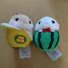 2025年最新】ころはむコロン ぬいぐるみ フルーツの人気アイテム