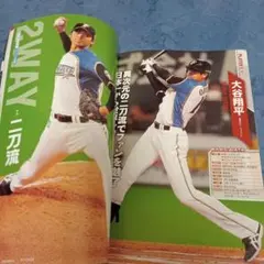ハイライトフォト 日本ハムファイターズ 大谷翔平 西川遥輝 公式写真