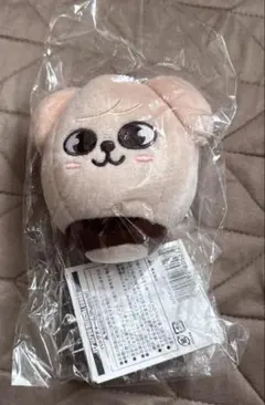 2026年最新】Puppy スンミンの人気アイテム - メルカリ