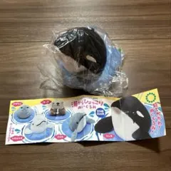 名古屋港水族館 缶バッジ シャチ アース - メルカリ