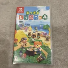 あつまれ どうぶつの森 Nintendo Switch