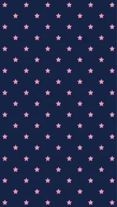 専用　Anker モバイルバッテリー Lightning