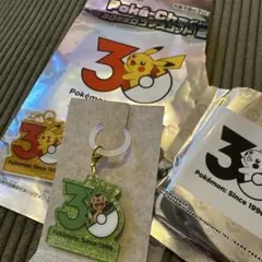【即日発送‼️】ポケチャーム 30周年 ポケモン ハリマロン