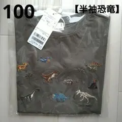 Item thumbnail for item 8eb172b4-36c4-4c1a-8b93-83f41b989f33